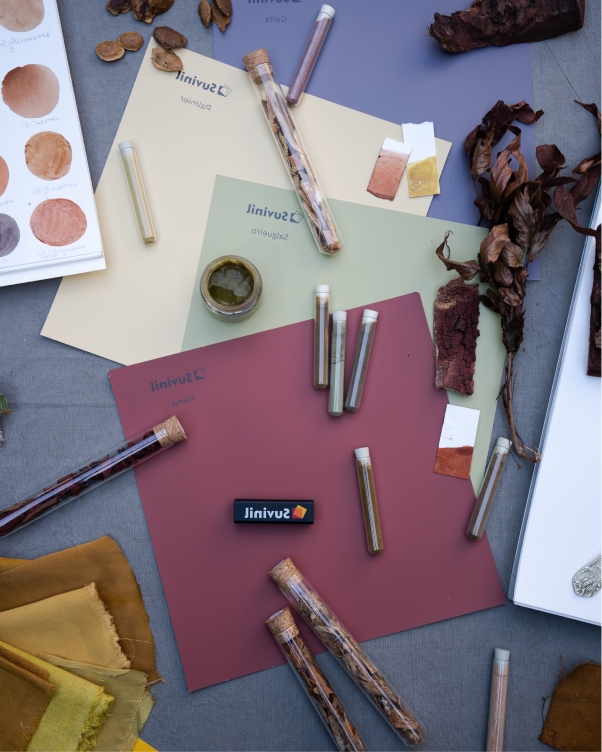 caderno catalogo tintas cores hena salgueiro palmier Caderno com círculos coloridos. Com folhas três folhas nos tons Hena, Salgueiro e Palmier e o COLORi.