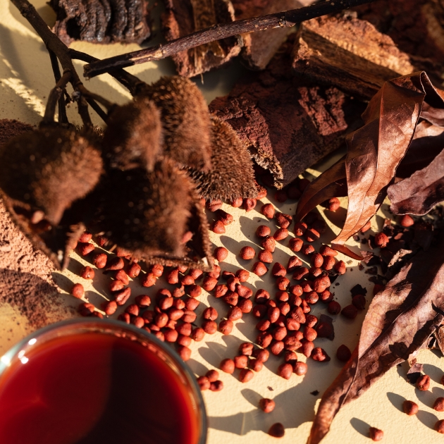 folhas sementes mesa Folhas e sementes sobre uma mesa.