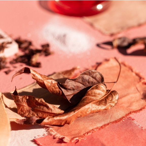 folhas superficie paleta cores amazonia Folhas sobre uma superfície com a paleta de cores da Amazônia.