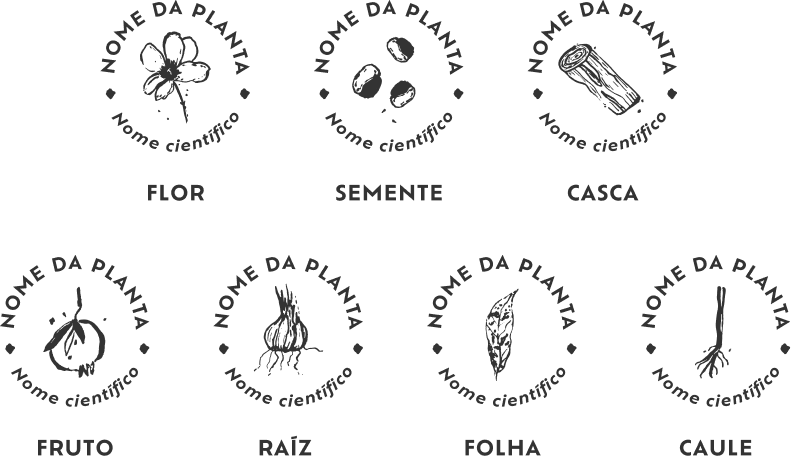 identificacao botanica brasil em cores Identificação botânica de cada planta. Guia para visitar os territórios da coleção Brasil em Cores.