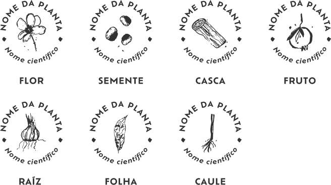 identificacao botanica brasil em cores Identificação botânica de cada planta. Guia para visitar os territórios da coleção Brasil em Cores.