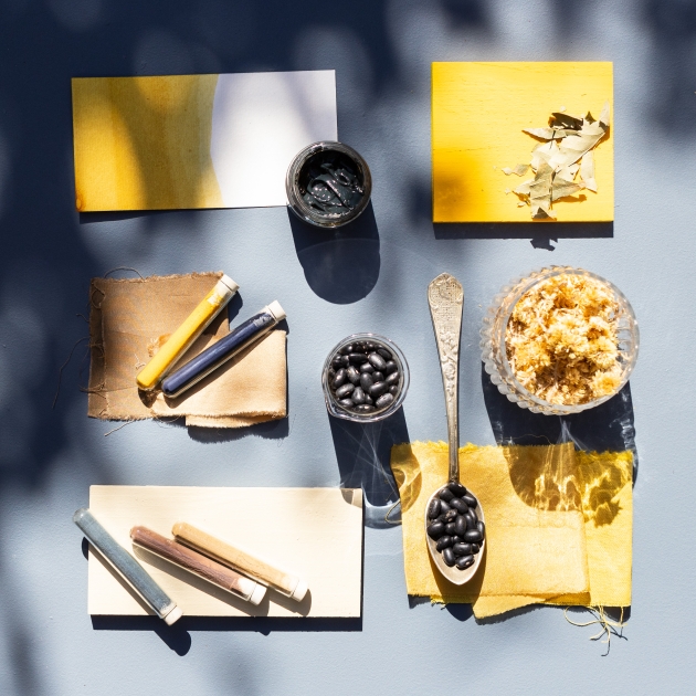 mesa itens paleta cores mata atlantica Mesa com diversos itens e paleta de cores da Mata Atlântica.