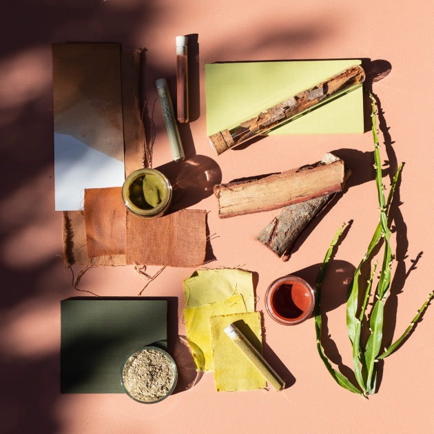 mesa itens tintas paleta cores pampa Mesa com diversas plantas e tintas da paleta de cores Pampa.