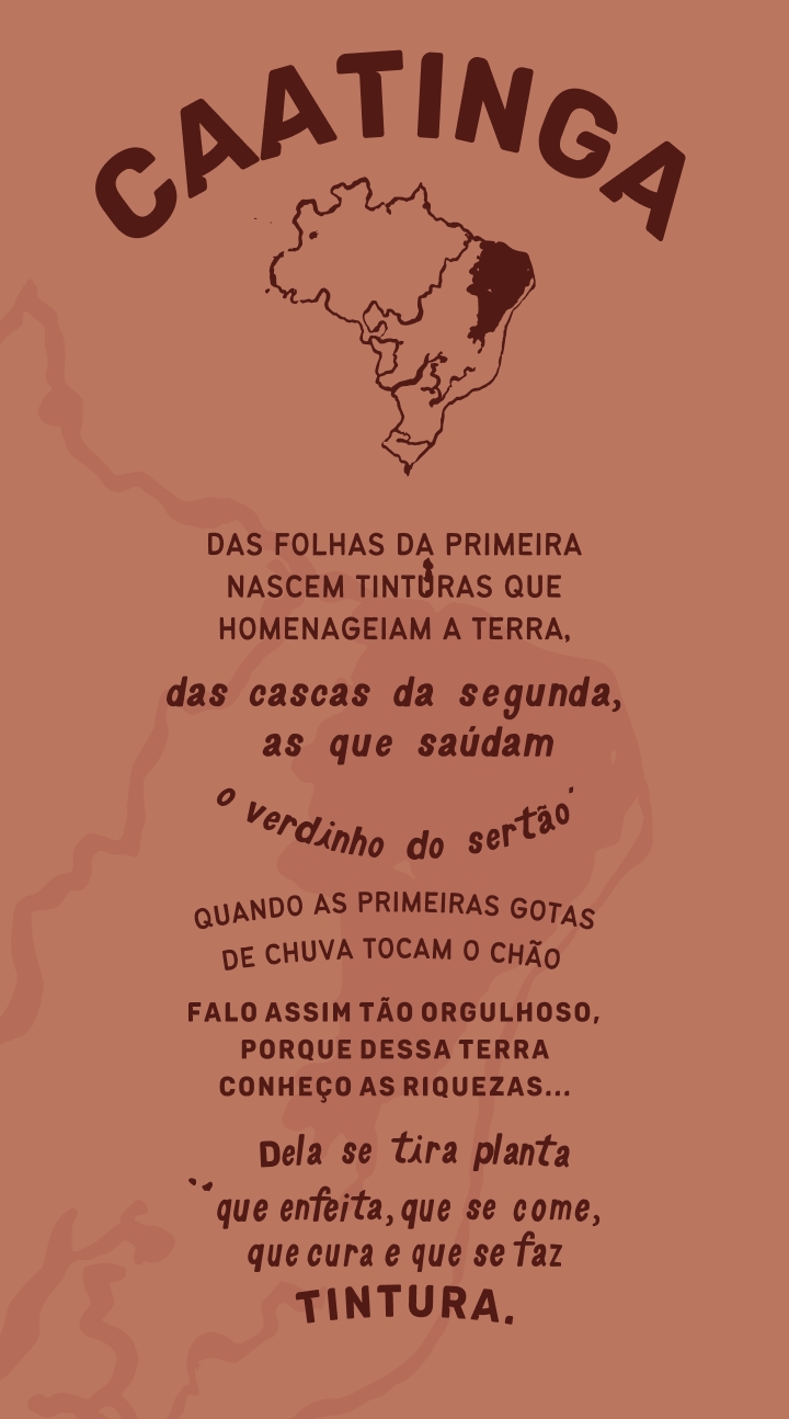 poema caatinga 2 Caatinga: Das folhas da primeira nascem tinturas que homenageiam a terra, das cascas da segunda as que saúdam o verdinho do sertão, quando as primeiras gotas de chuva tocam o chão falo assim tão orgulhoso, porque dessa terra conheço as riquezas... Dela se tira planta que enfeita, que se come, que cura  e que se faz tintura.