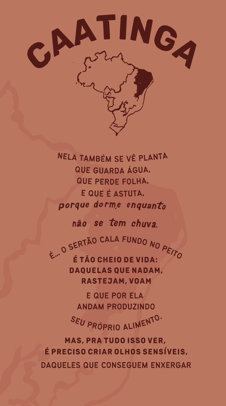 poema caatinga 3 Caatinga: Nela também se vê planta que guarda água, que pede folha e que é astuta, porque dorme enquanto não se tem chuva. É.. O sertão cala fundo no peito é tão cheio de vida: daquelas que nadam, rastejam, voam e que por ela andam produzindo seu próprio alimento. Mas, pra tudo isso ver, é preciso criar olhos seníveis, daqueles que conseguem enxergar