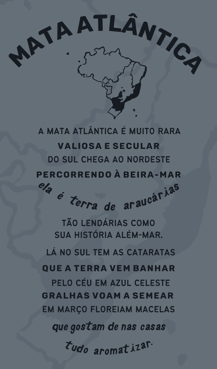 poema mata atlantica 1 Mata Atlântica: A mata atlântica é muito rara valiosa e secular do sul chega ao nordeste percorrendo à beira-mar ela é terra de araucárias tão lendárias como sua história além-mar. Lá no sul tem as cataratas que a terra vem banhar pelo céu celeste gralhas voam sem semear em março floreiam macelas que gostam de nas casas tudo aromatizar.