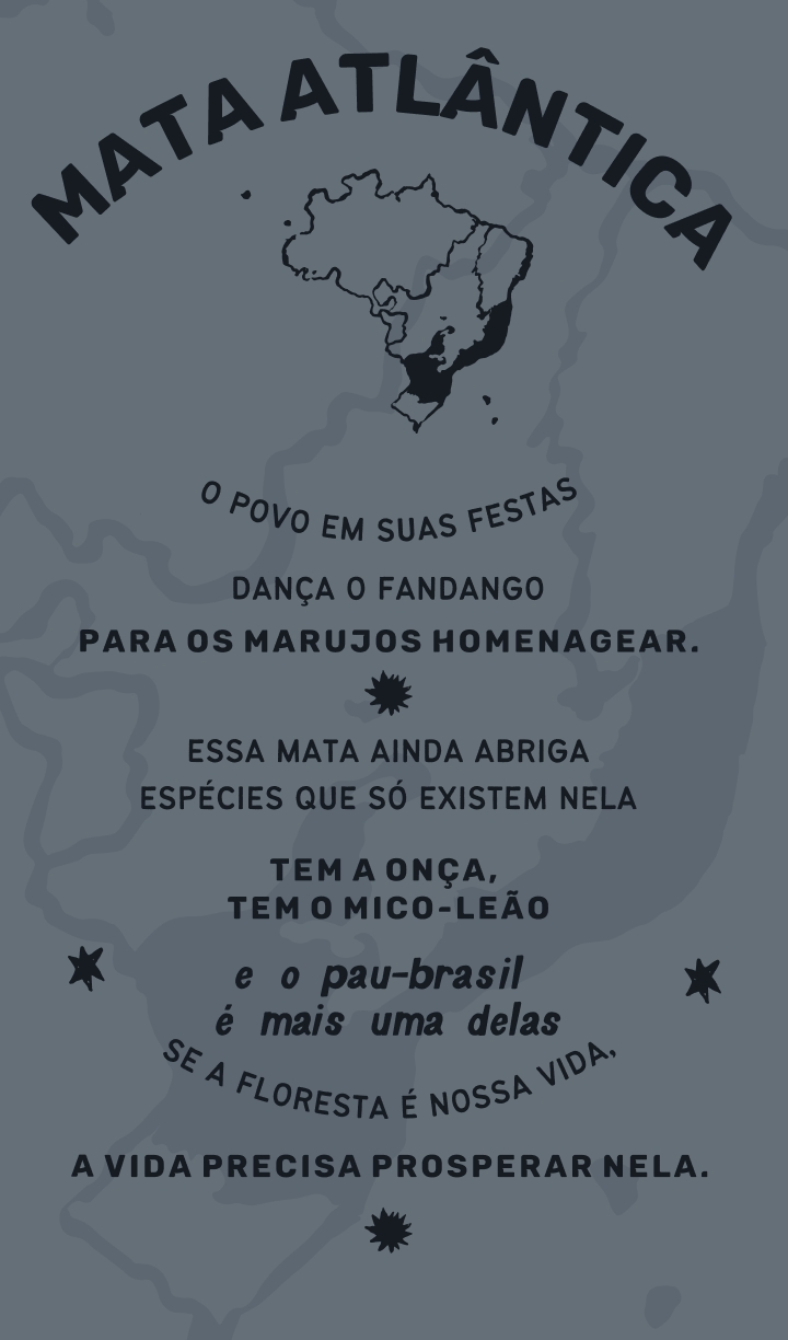 poema mata atlantica 3 Mata Atlântica: o povo em suas festas dança o fandango para os marujos homenagear. Essa mata ainda abriga espécies que só existem nela tem a onça, tem o mico-leão e o pau-brasil é mais uma delas se a floresta é nossa vida, a vida precisa prosperar nela.