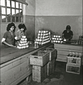 colaboradoras fabrica suvinil anos 60 Colaboradores trabalhando em uma fábrica da Suvinil nos anos 60.