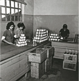 colaboradoras fabrica suvinil anos 60 Colaboradores trabalhando em uma fábrica da Suvinil nos anos 60.