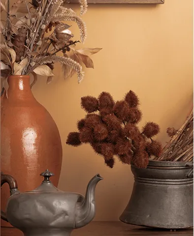 cor suvinil acucar organico Parede pintada com a cor Açúcar Orgânico da Suvinil.