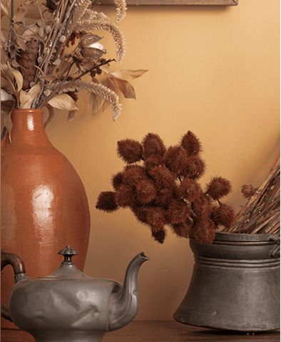 cor suvinil acucar organico Parede pintada com a cor Açúcar Orgânico da Suvinil.