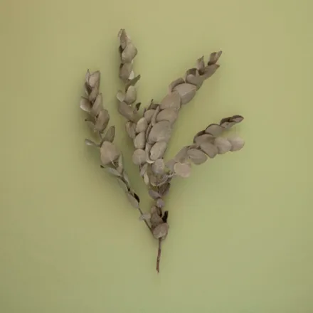 cor suvinil folha seca Parede pintada com a cor Suvinil Folha-Seca.